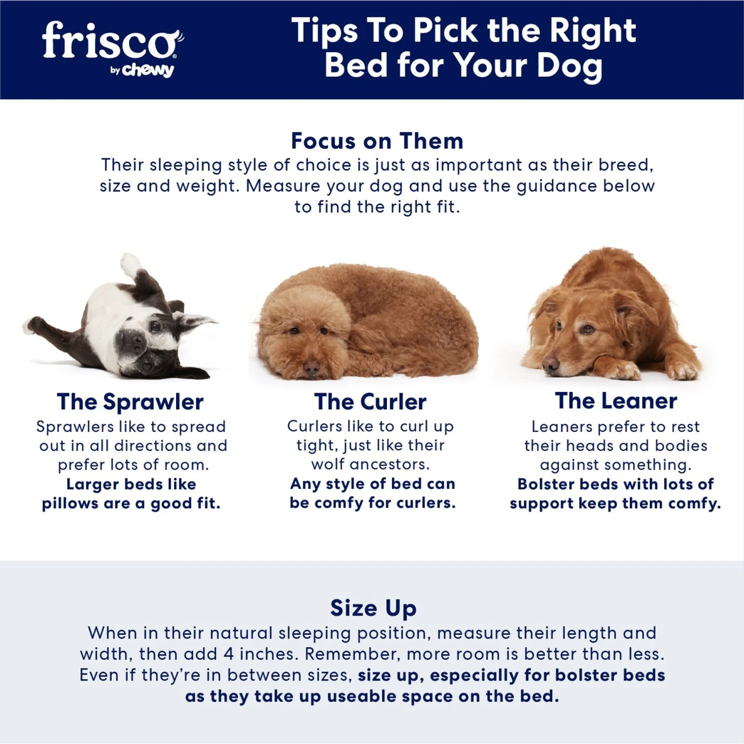 Frisco Plush Pillow Cat & Dog Bed W/ Removable Cover 7 Frisco Plush Pillow Cat & Dog Bed W/ Removable Cover - Image 5