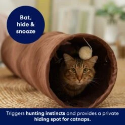 Frisco 35-in Foldable Crinkle Play Tunnel With 1 Window 10 Frisco 35-in Foldable Crinkle Play Tunnel With 1 Window -Frisco 140166 PT3. AC SS1800 V1695670685