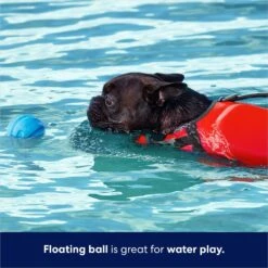 Frisco Foam Rubber Floating Fetch Ball No Squeak Dog Toy -Frisco 152798 PT3. AC SS1800 V1686579688