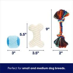 Frisco Chewy Box Hide & Seek Puzzle Plush Squeaky Dog Toy -Frisco 152808 PT2. AC SS1800 V1695659219