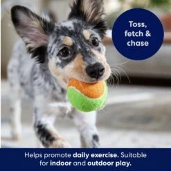 Frisco Fetch Squeaking Colorful Tennis Ball Dog Toy -Frisco 152846 PT3. AC SS1800 V1691776635