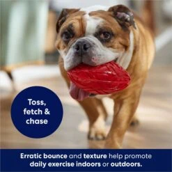 Frisco Football TPR Squeaky Dog Toy 10 Frisco Football TPR Squeaky Dog Toy -Frisco 154412 PT3. AC SS1800 V1686578718