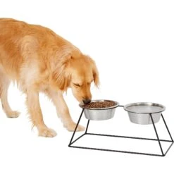 Frisco Pyramid Elevated Stainless Steel Double Diner Dog & Cat Bowl
