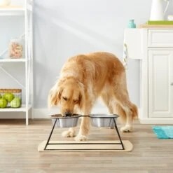 Frisco Pyramid Elevated Stainless Steel Double Diner Dog & Cat Bowl 9 Frisco Pyramid Elevated Stainless Steel Double Diner Dog & Cat Bowl -Frisco 159884 PT3. AC SS1800 V1561123346