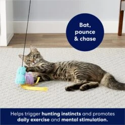 Frisco Bird With Feathers Teaser Wand Cat Toy With Catnip 8 Frisco Bird With Feathers Teaser Wand Cat Toy With Catnip -Frisco 161199 PT2. AC SS1800 V1678723897