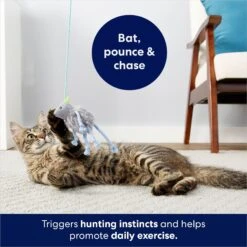 Frisco Bouncy Mouse Plush Teaser Cat Toy With Catnip 10 Frisco Bouncy Mouse Plush Teaser Cat Toy With Catnip -Frisco 161259 PT5. AC SS1800 V1686580155