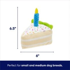 Frisco Birthday Cake Slice Plush Squeaky Dog Toy -Frisco 162906 PT1. AC SS1800 V1695671001