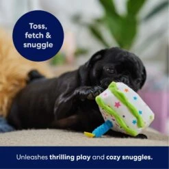 Frisco Birthday Cake Slice Plush Squeaky Dog Toy -Frisco 162906 PT4. AC SS1800 V1695671059