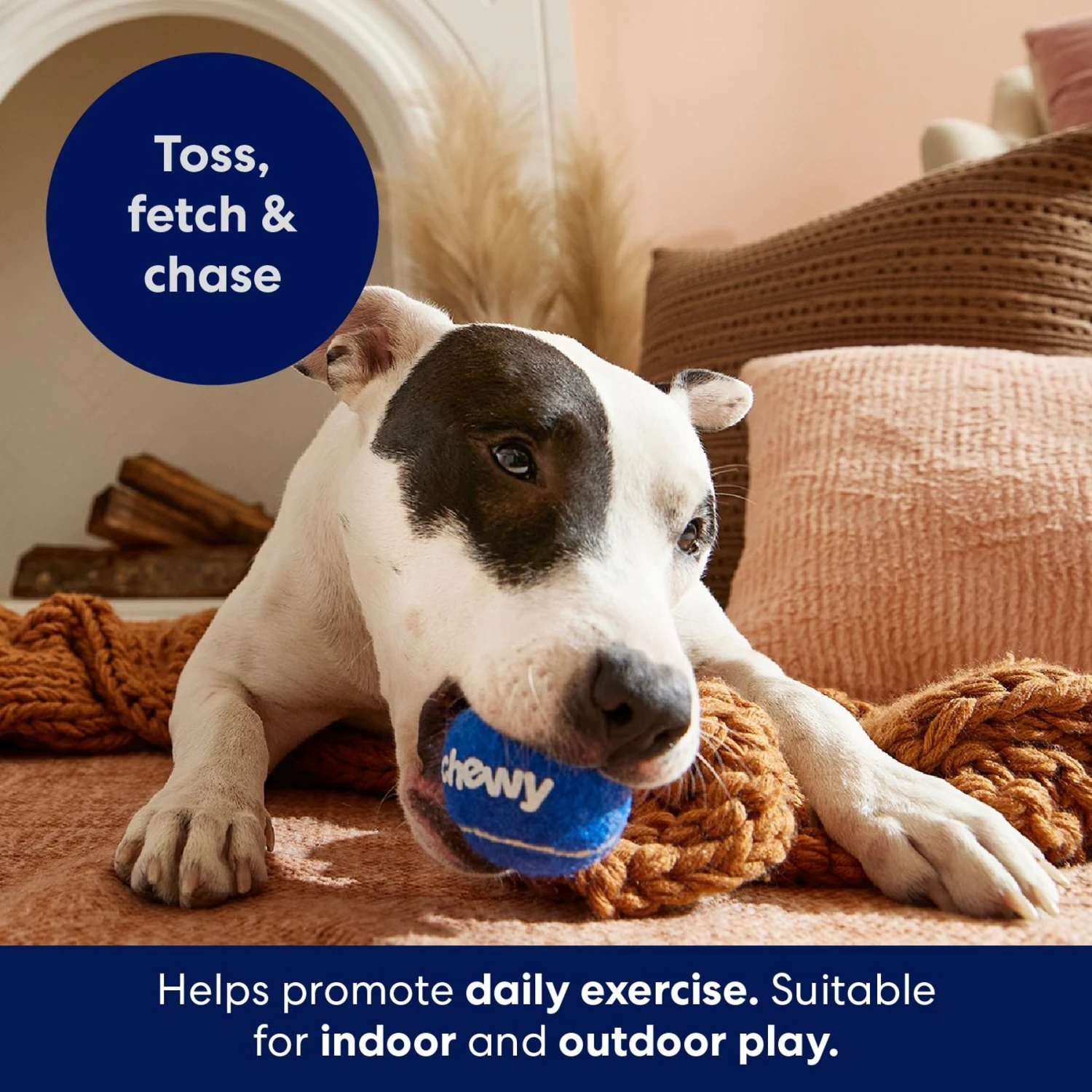 Frisco Chewy Fetch Squeaky Tennis Ball Dog Toy 6 Frisco Chewy Fetch Squeaky Tennis Ball Dog Toy - Image 4