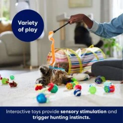 Frisco Plush, Teaser, Ball & Tunnel Variety Pack Cat Toy With Catnip 12 Frisco Plush, Teaser, Ball & Tunnel Variety Pack Cat Toy With Catnip -Frisco 169688 PT5. AC SS1800 V1691784246