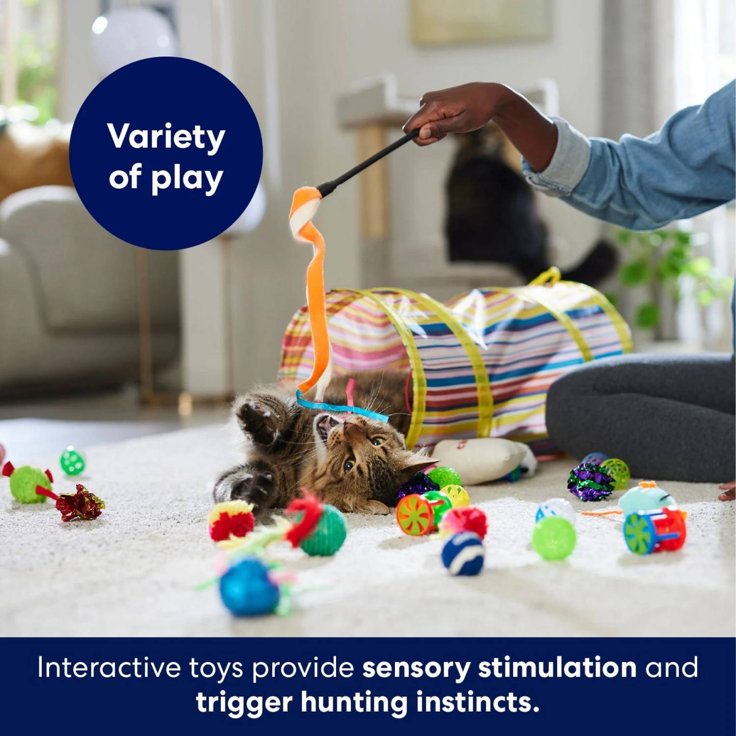 Frisco Plush, Teaser, Ball & Tunnel Variety Pack Cat Toy With Catnip 7 Frisco Plush, Teaser, Ball & Tunnel Variety Pack Cat Toy With Catnip - Image 5