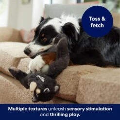 Frisco Rhino Muscle Plush Squeaky Dog Toy -Frisco 174719 PT3. AC SS1800 V1691784246