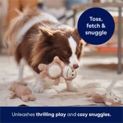 Frisco Monkeys In Tree Hide & Seek Puzzle Plush Squeaky Dog Toy Refills 10 Frisco Monkeys In Tree Hide & Seek Puzzle Plush Squeaky Dog Toy Refills -Frisco 174768 PT5. AC SS1800 V1691784249