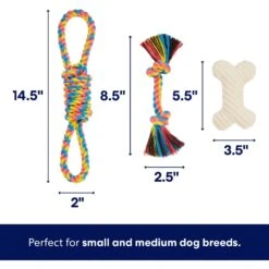 Frisco Jungle Pals Plush & Rope Variety Pack Dog Toy 9 Frisco Jungle Pals Plush & Rope Variety Pack Dog Toy -Frisco 177819 PT2. AC SS1800 V1686579629