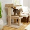 Frisco 32-in Real Carpet Wooden Cat Tree With Toy 1 Frisco 32-in Real Carpet Wooden Cat Tree With Toy -Frisco 208920 MAIN. AC SS1800 V1602682003
