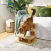 Frisco 20-in 3-Step Real Carpet Wooden Cat Steps -Frisco 208966 MAIN. AC SS1800 V1602682013