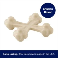 Frisco Chicken Flavor Tough Nylon Dog Chew Toy 10 Frisco Chicken Flavor Tough Nylon Dog Chew Toy -Frisco 213432 PT2. AC SS1800 V1691784247