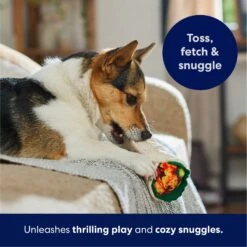 Frisco Burrito Plush Squeaky Dog Toy -Frisco 213834 PT4. AC SS1800 V1695919984