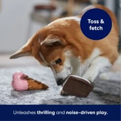 Frisco Ice Cream Sandwich & Ice Cream Cone Latex Squeaky Dog Toy 10 Frisco Ice Cream Sandwich & Ice Cream Cone Latex Squeaky Dog Toy -Frisco 213840 PT3. AC SS1800 V1695242030