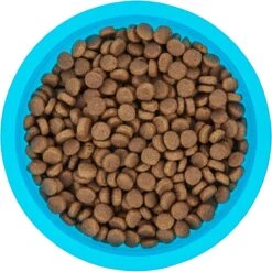 Frisco Plastic Suction Bowl, Blue 14 Frisco Plastic Suction Bowl, Blue -Frisco 216037 PT4. AC SS1800 V1591020655