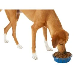 Frisco Chevron Design Glass Bowl With Silicone Sleeve -Frisco 216049 PT6. AC SS1800 V1605654757