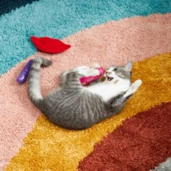 Frisco Retro Lip Gloss Plush Cat Toy With Catnip, 3 Count 7 Frisco Retro Lip Gloss Plush Cat Toy With Catnip, 3 Count -Frisco 230274 PT3. AC SS1800 V1602639773