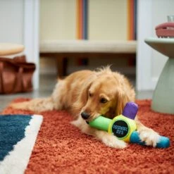 Frisco Retro Whack It! Ballistic Nylon Plush Squeaky Dog Toy 7 Frisco Retro Whack It! Ballistic Nylon Plush Squeaky Dog Toy -Frisco 230302 PT3. AC SS1800 V1601947283