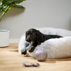 Frisco Retro Plush Squeaky Disco Dog Toy 7 Frisco Retro Plush Squeaky Disco Dog Toy -Frisco 230349 PT3. AC SS1800 V1600973789