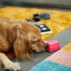 Frisco Retro Funky Van TPE Treat Dispenser Dog Toy, Medium/Large -Frisco 230383 PT4. AC SS1800 V1669908614