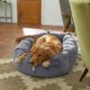 Frisco Velvet Round Bolster Dog Bed W/Removable Cover 2 Frisco Velvet Round Bolster Dog Bed W/Removable Cover -Frisco 232178 MAIN. AC SS1800 V1602013291