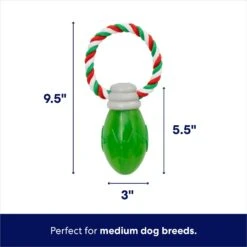 Frisco Holiday Christmas Light Rope With TPR Squeaky Dog Toy -Frisco 233278 PT1. AC SS1800 V1695043797