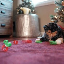 Frisco Holiday Springs Cat Toy, 10 Count -Frisco 233307 PT2. AC SS1800 V1602172363