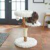 Frisco Natural Wood Modern Cat Tree With Toy, Ivory, Medium 1 Frisco Natural Wood Modern Cat Tree With Toy, Ivory, Medium -Frisco 236561 MAIN. AC SS1800 V1616521947