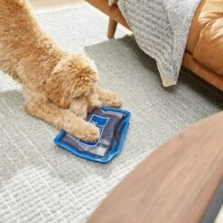 Frisco Zoomies & Chill TV Flat Plush Squeaky Dog Toy -Frisco 241685 PT6. AC SS1800 V1610768399