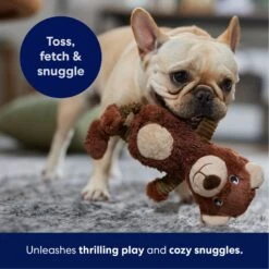 Frisco Bear Plush Squeaky Dog Toy -Frisco 245924 PT4. AC SS1800 V1695760929
