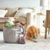 Frisco Round Collapsible Pet Toy Storage Bin, Gray Basket Weave -Frisco 250585 MAIN. AC SS1800 V1615242785
