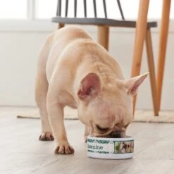 Frisco Boho Damask Ceramic Personalized Dog & Cat Bowl 9 Frisco Boho Damask Ceramic Personalized Dog & Cat Bowl -Frisco 250833 PT3. AC SS1800 V1610758070