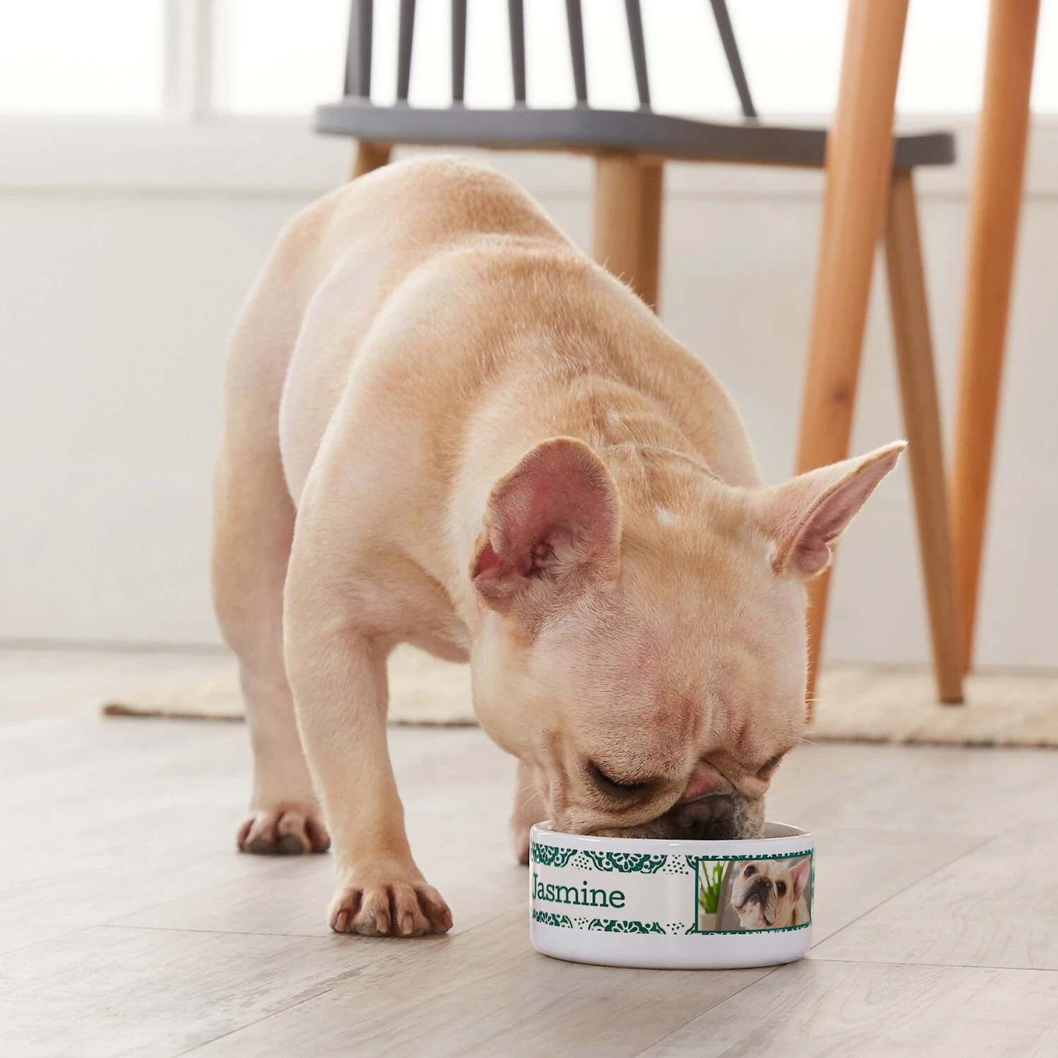 Frisco Boho Damask Ceramic Personalized Dog & Cat Bowl 6 Frisco Boho Damask Ceramic Personalized Dog & Cat Bowl - Image 4