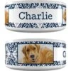 Frisco Boho Damask Ceramic Personalized Dog Bowl 2 Frisco Boho Damask Ceramic Personalized Dog Bowl -Frisco 250835 MAIN. AC SS1800 V1602632496