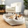Frisco Rectangular Personalized Bolster Dog Bed W/Removable Cover, Beige, X-Large -Frisco 252615 MAIN. AC SS1800 V1604499115