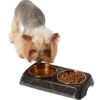 Frisco Copper Stainless Steel Double Dog & Cat Bowls With Black Marble Stand 2 Frisco Copper Stainless Steel Double Dog & Cat Bowls With Black Marble Stand -Frisco 253058 MAIN. AC SS1800 V1616075012