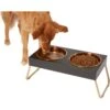 Frisco Copper Stainless Steel Elevated Foldable Double Dog & Cat Bowls -Frisco 253060 MAIN. AC SS1800 V1616073913