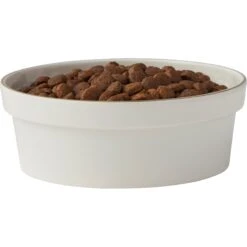 Frisco Gold Trim Melamine Dog & Cat Bowl 14 Frisco Gold Trim Melamine Dog & Cat Bowl -Frisco 253062 PT3. AC SS1800 V1616595685
