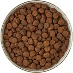 Frisco Gold Trim Melamine Dog & Cat Bowl 16 Frisco Gold Trim Melamine Dog & Cat Bowl -Frisco 253062 PT5. AC SS1800 V1616595396