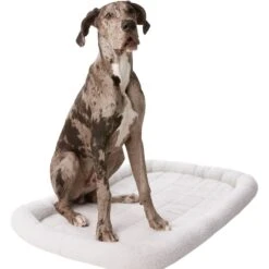 Frisco Heavy Duty Single Door Wire Dog Crate & Frisco Quilted Dog Crate Mat -Frisco 255633 PT4. AC SS1800 V1604147207
