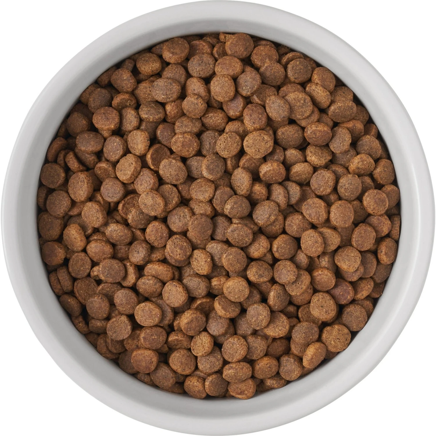 Frisco Bones Non-skid Ceramic Dog & Cat Bowl 8 Frisco Bones Non-skid Ceramic Dog & Cat Bowl - Image 6