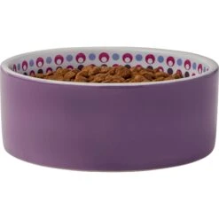 Frisco Kaleidoscope Pattern Non-skid Ceramic Dog & Cat Bowl 11 Frisco Kaleidoscope Pattern Non-skid Ceramic Dog & Cat Bowl -Frisco 256090 PT3. AC SS1800 V1615311698