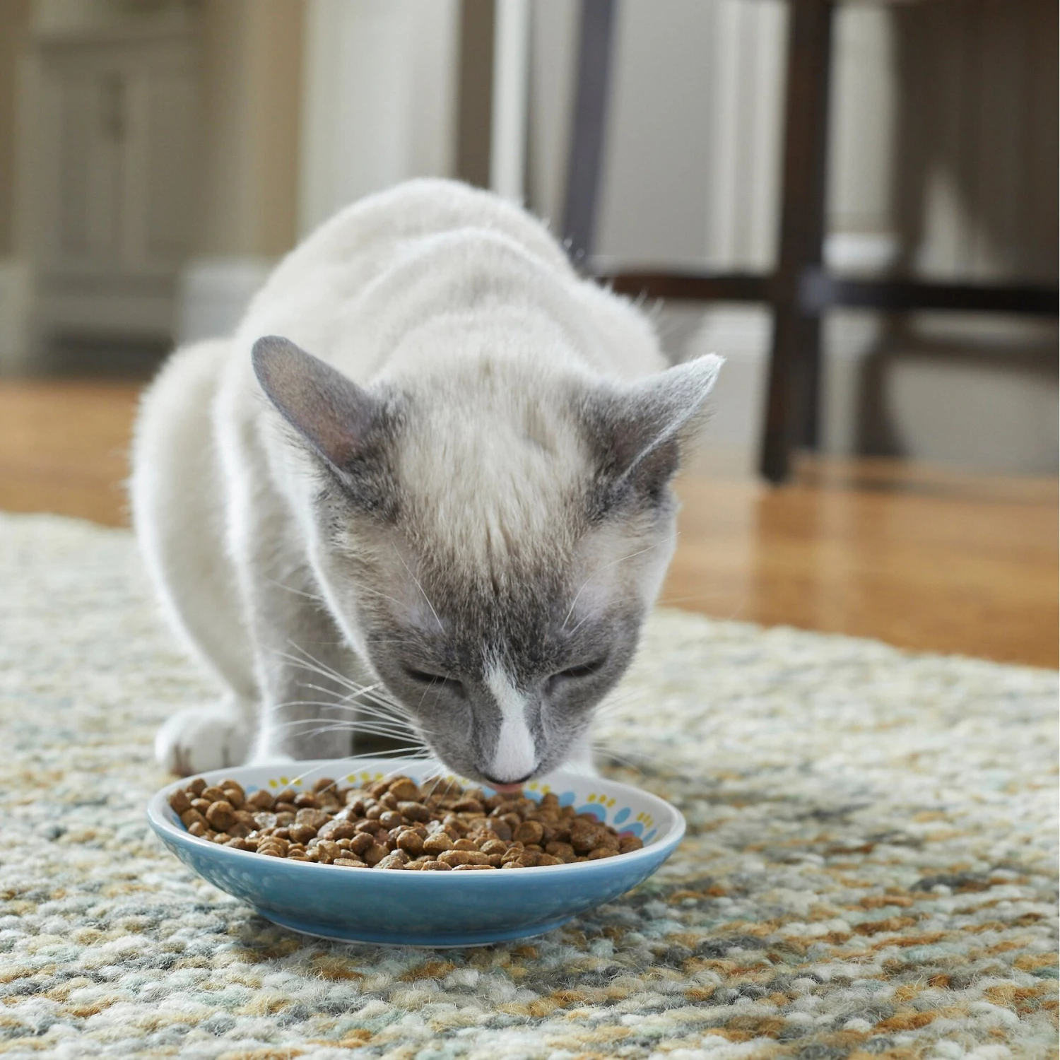 Frisco Kaleidoscope Pattern Non-skid Ceramic Cat Dish 5 Frisco Kaleidoscope Pattern Non-skid Ceramic Cat Dish - Image 3