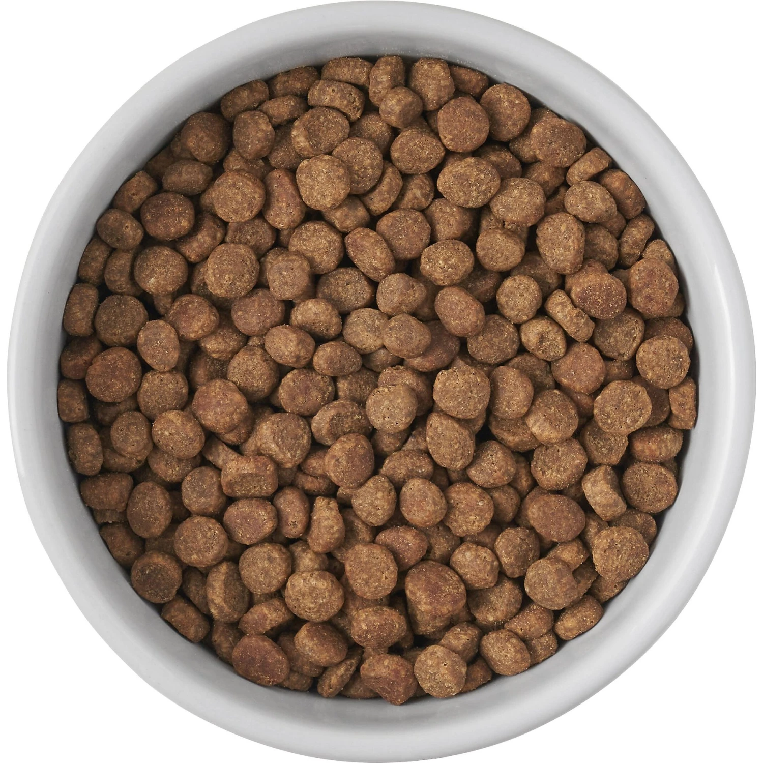 Frisco Cat Print Non-skid Elevated Ceramic Cat Bowl, Short 7 Frisco Cat Print Non-skid Elevated Ceramic Cat Bowl, Short - Image 5