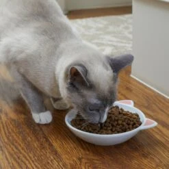 Frisco Cat Face Non-skid Ceramic Cat Dish -Frisco 256105 PT2. AC SS1800 V1615310882